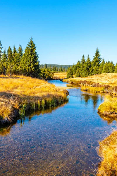 Petit ruisseau de montagne serpentant au milieu des prairies et de la forêt. Journée ensoleillée avec ciel bleu et nuages blancs dans les montagnes Jizera, Bohême du Nord, République tchèque . — Photo