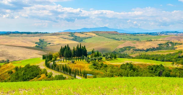 Evening in Tuscany. Hilly Tuscan landscape with cypress trees alley and farm house, Italy — Stock Photo, Image