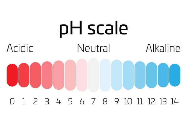 Échelle pH. Indicateur de la valeur du pH exprimant le taux d'acidité ou de basicité en chimie — Image vectorielle