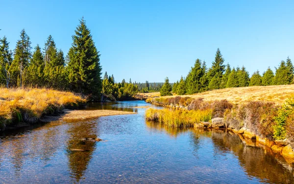 Small mountain creek meandering in the middle of meadows and forest. Sunny day with blue sky and white clouds in Jizera Mountains, Northern Bohemia, Czech Republic. — Stock Photo, Image