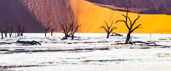 Deadvlei에서 죽은 낙 타 가시 나무 건조 나 미 브 사막의 붉은 모래 언덕, Sossusvlei, 나미비아, 아프리카 중간에 금이 토양 팬 — 스톡 사진