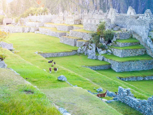 Terraços de Machu Picchu - Cidade perdida inca no Peru, América do Sul — Fotografia de Stock