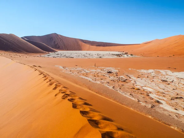 Valley of the Death in namibian Sossusvlei — Stock Photo, Image