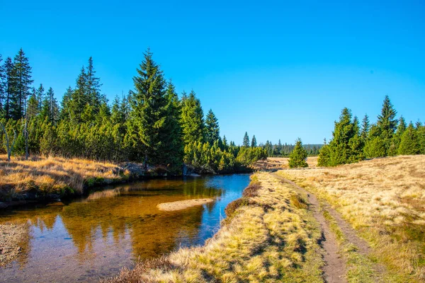 Small mountain creek meandering in the middle of meadows and forest. Sunny day with blue sky and white clouds in Jizera Mountains, Northern Bohemia, Czech Republic. — Stock Photo, Image