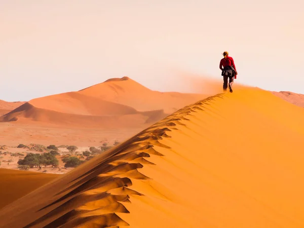 Rüzgarlı havalarda, Sossusvlei, Namib Çölü, Namibya kırmızı dune sırt üzerinde yürüyen kadın — Stok fotoğraf