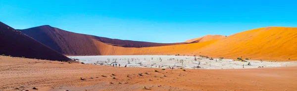 Dorso di cammello morto in padella asciutta Deadvlei con terreno incrinato nel mezzo delle dune rosse del deserto del Namib, Sossusvlei, Namibia, Africa — Foto Stock