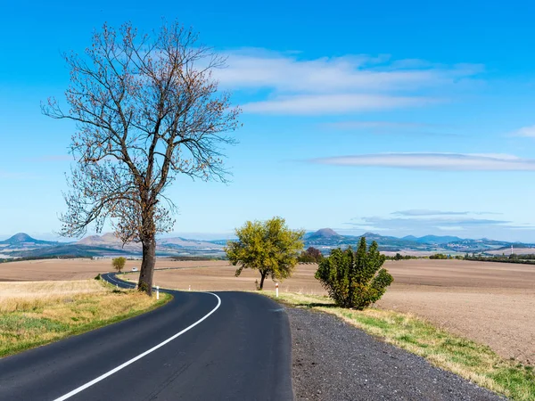 Camino Asfalto Paisaje Estéril Con Árboles Soleado Día Otoño — Foto de Stock