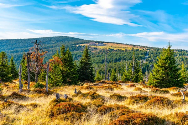 Paysage forestier vert avec Velky Sisak et Vysoke Kolo Mountain, Giant Mountains, Krkonose, République tchèque — Photo