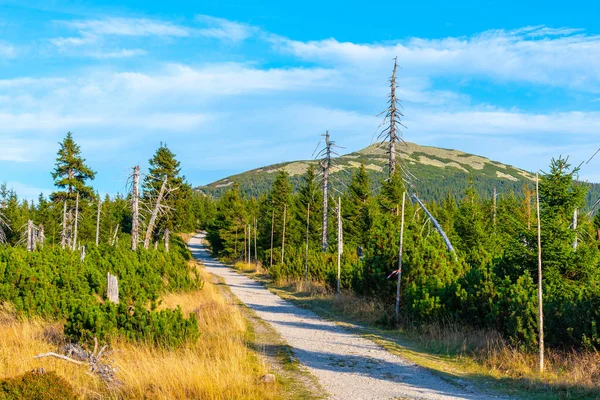 Tourist road in the middle of mountain landscape, Giant Mountains, Krkonose, Czech Republic — Stock Photo, Image