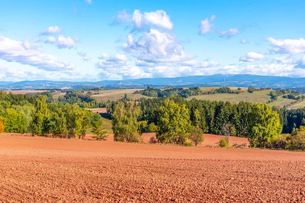 Sol Rouge Typique Campagne Autour Nova Paka Paysage Agricole Avec — Photo