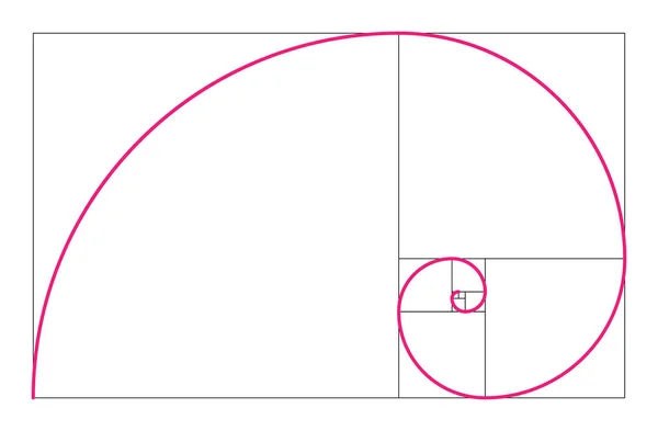 Złote proporcje geometryczne koncepcja. Różowy spirala Fibonacciego. Ilustracja wektorowa — Wektor stockowy