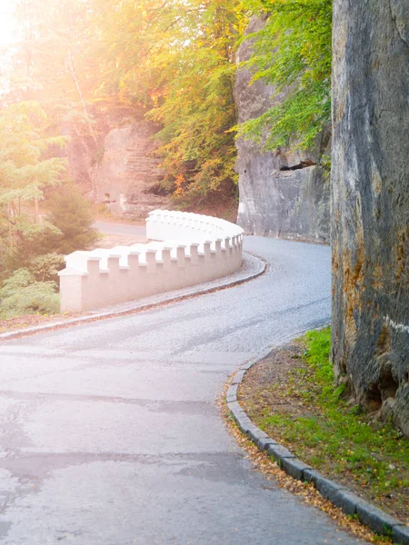 Narrow asphalt road serpentine in the forest — Stock Photo, Image