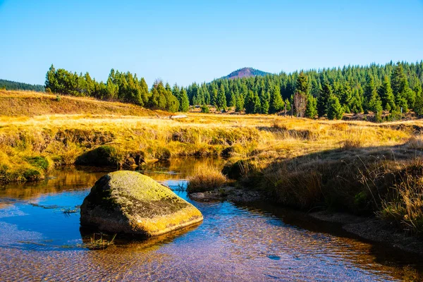 Small mountain creek meandering in the middle of meadows and forest. Sunny day with blue sky and white clouds in Jizera Mountains, Northern Bohemia, Czech Republic. — Stock Photo, Image
