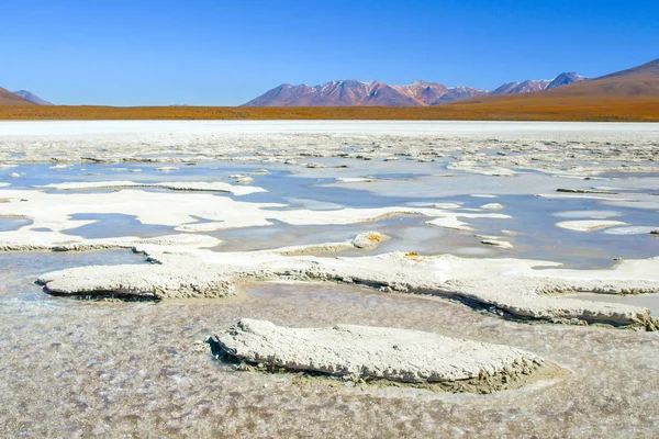 Lagune gelée d'altiplano avec pic de montagne sur fond. Bolivie, Amérique du Sud — Photo