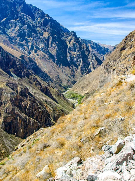 Colca Canyon - the deepest canyon of the World, Peru, South America
