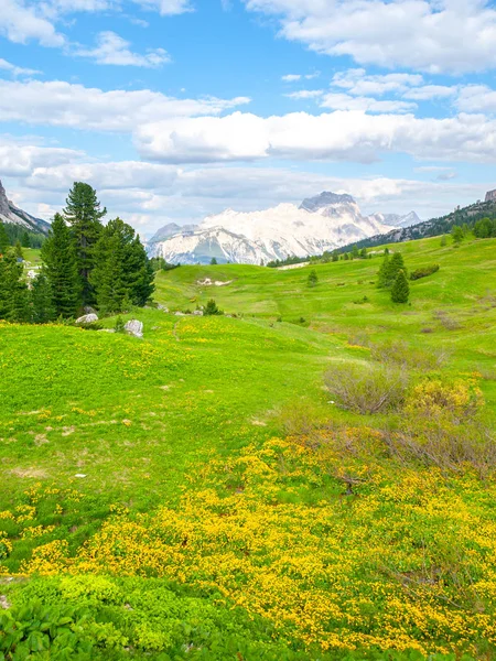 Landskapet i Dolomiterna med gröna ängar, blå himmel, vita moln och klippiga bergen — Stockfoto
