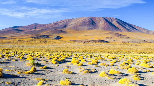 Bergstoppar på Laguna Colorada i Bolivia — Stockfoto