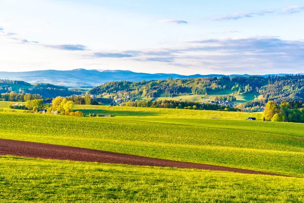 Paysage verdoyant vallonné avec montagnes géantes, Tchèque : Krkonose, sur la ligne d'horizon, République tchèque . — Photo