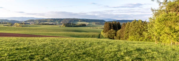 Groen heuvellandschap met Reuzengebergte, Tsjechisch: Krkonose, op skyline, Tsjechië. — Stockfoto