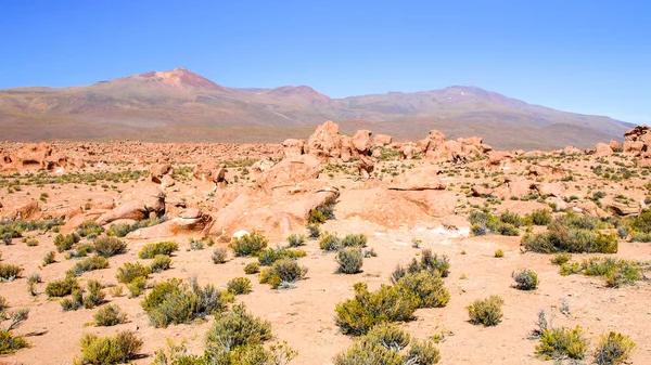 Paisagem de altas montanhas andinas do Altiplano boliviano — Fotografia de Stock