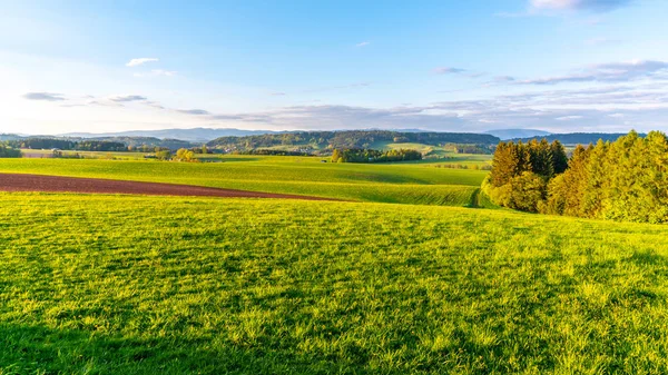 Green hilly landscape with Giant Mountains, Czech: Krkonose, on skyline, Czech Republic. — Stock Photo, Image