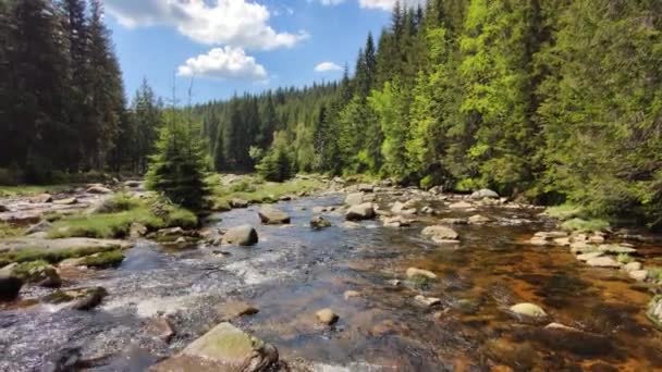 Fließendes Wasser in einem Gebirgsfluss voller Felsen. Fluss Jizera, Tschechische Republik — Stockvideo