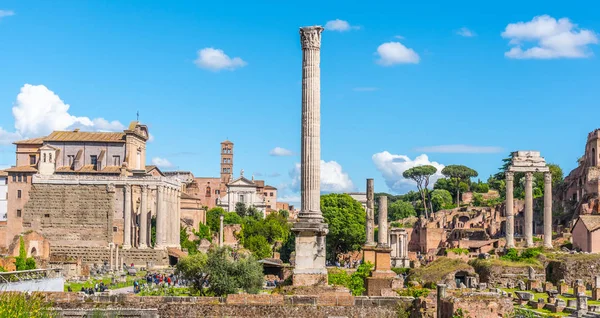 Colonna delle Foca nel sito archeologico del Foro Romano, Roma, Italia — Foto Stock