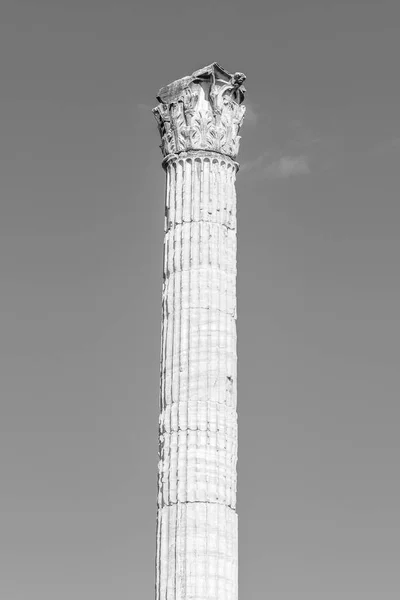 Column of Phocas in Roman Forum archeological site, Rome, Italy — Stock Photo, Image