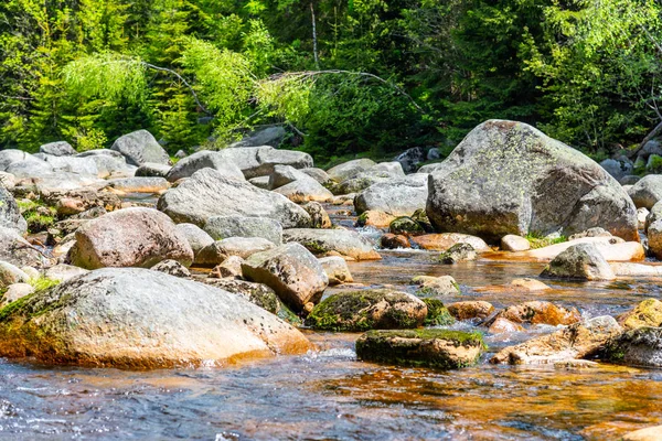 Jizera river full of granite rocks on sunny summer day, Jizera Mountains, Czech Republic — Stock Photo, Image