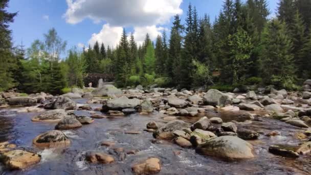 Agua corriente en un río de montaña lleno de rocas. Río Jizera, República Checa — Vídeo de stock