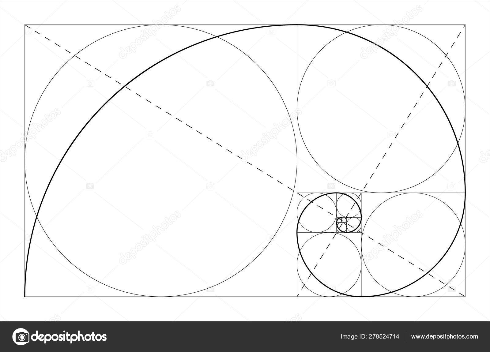 黄金比例几何概念。斐波那契螺旋。向量例证. 图库矢量图©pyty 278524714