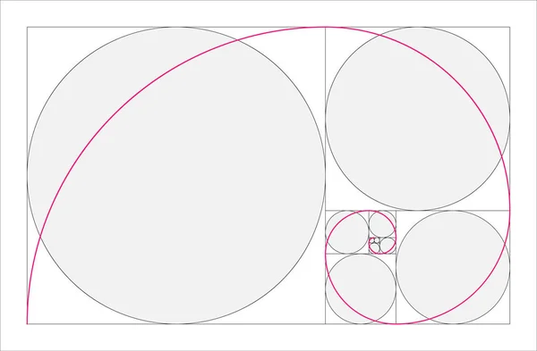 Concepto geométrico de proporción dorada. Espiral de Fibonacci rosa. Ilustración vectorial — Vector de stock