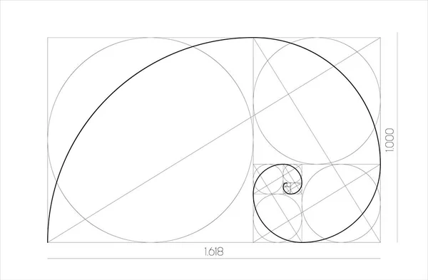 Concepto geométrico de proporción dorada. Espiral de Fibonacci. Ilustración vectorial . — Vector de stock