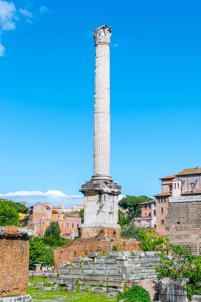 Colonna delle Foca nel sito archeologico del Foro Romano, Roma, Italia — Foto Stock