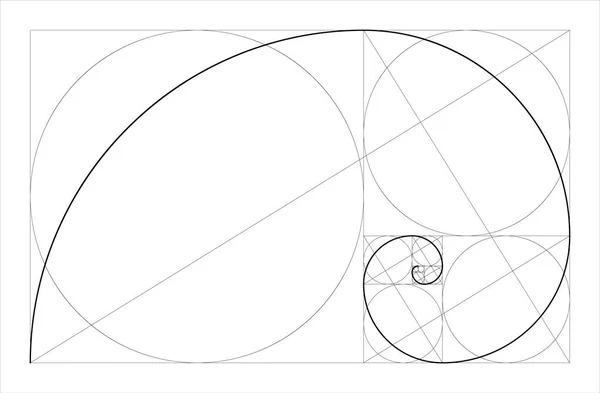 Concepto geométrico de proporción dorada. Espiral de Fibonacci. Ilustración vectorial . — Vector de stock