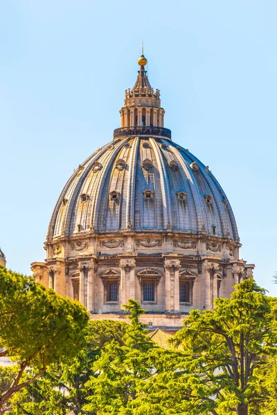Papal Basilica of St. Peter in the Vatican — Stock Photo, Image