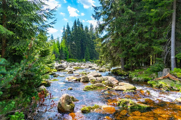 Jizera river full of granite rocks on sunny summer day, Jizera Mountains, Czech Republic — Stock Photo, Image