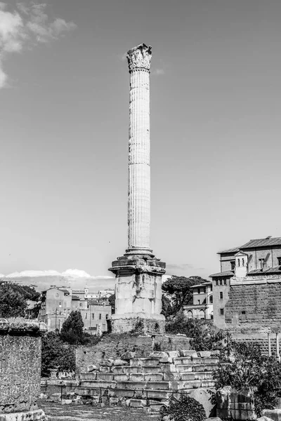 Säule der Phokas im römischen Forum archäologische Stätte, Rom, Italien — Stockfoto