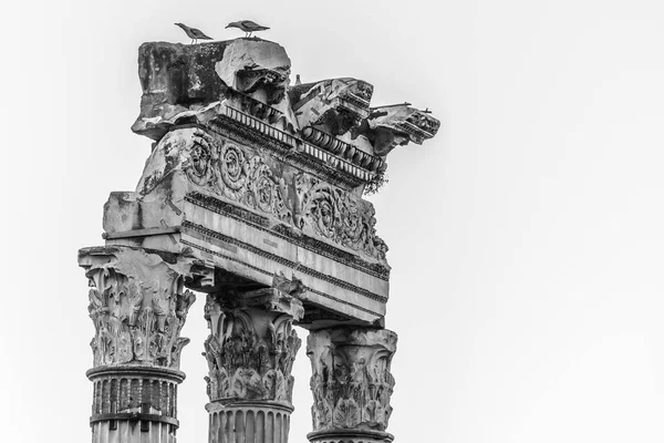 ローマフォーラム、ローマ、イタリアの寺院遺跡の詳細なビュー — ストック写真