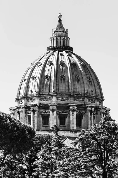 Papal Basilica of St. Peter in the Vatican — Stock Photo, Image