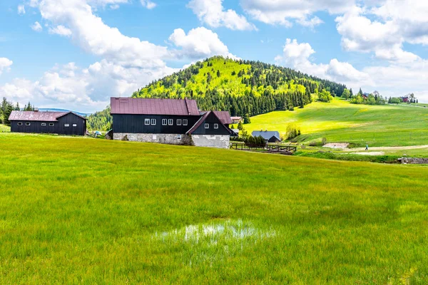 Montagne Bukovec au-dessus du village de Jizerka. Paysage estival avec prairies verdoyantes, ciel bleu et nuages blancs. Montagnes de Jizera, République tchèque — Photo