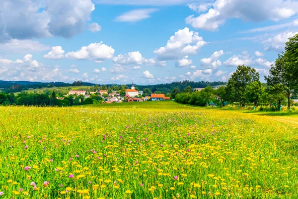 Rural summer landscape with green meadow, blue sky and white clouds. Jistebnice, South Bohemia, Czech Republic — Stock Photo, Image