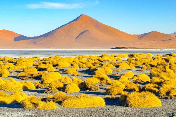 Vrcholky hor Laguna Colorada v Bolívii — Stock fotografie