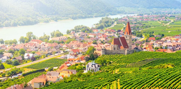 Solig dag i Wachau Valley. Landskap med vinodlingar och Donau vid Weissenkirchen, Österrike — Stockfoto