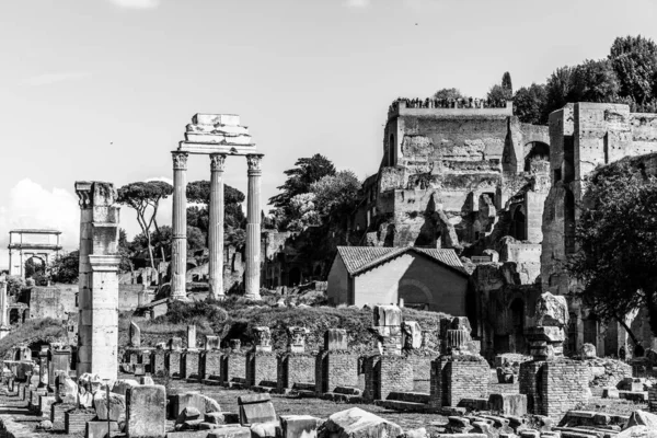 이탈리아 로마 광장에 있는 고대 바실리카 율리아 신전 과 카스트와 폴룩스 신전 의유적 — 스톡 사진