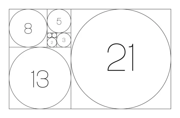 Fibonacci opeenvolging van cirkels. Gulden snede geometrisch concept. Vector illustratie — Stockvector