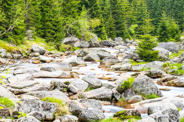 Jizera river full of granite rocks on sunny summer day, Jizera Mountains, Czech Republic — Stock Photo, Image