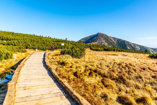 Trä gångväg leder till Snezka Mountain. Giant Mounatins, Krkonose nationalpark, Tjeckien — Stockfoto