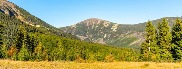 Snezka - de hoogste berg van Tsjechië. Uitzicht vanuit de vallei. Reuzengebergte, Nationaal park Krkonose — Stockfoto