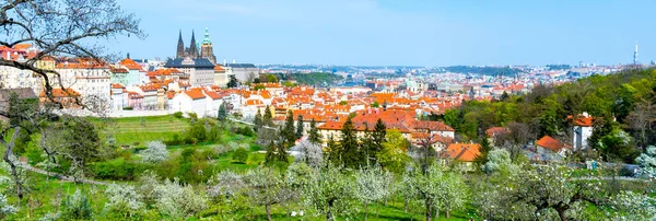 プラハの春。プラハ城を背景に、ストラホフ庭園には木々や緑が咲き誇ります。チェコ共和国プラハ — ストック写真
